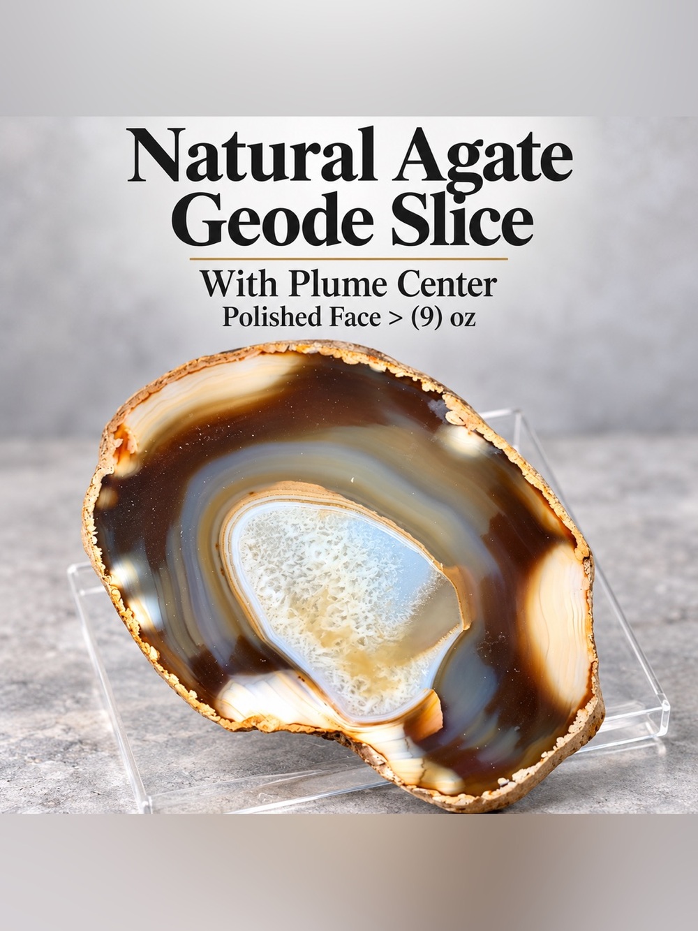 Natural Agate Geode Slice w/ Plume Center – Polished Face > 9 oz